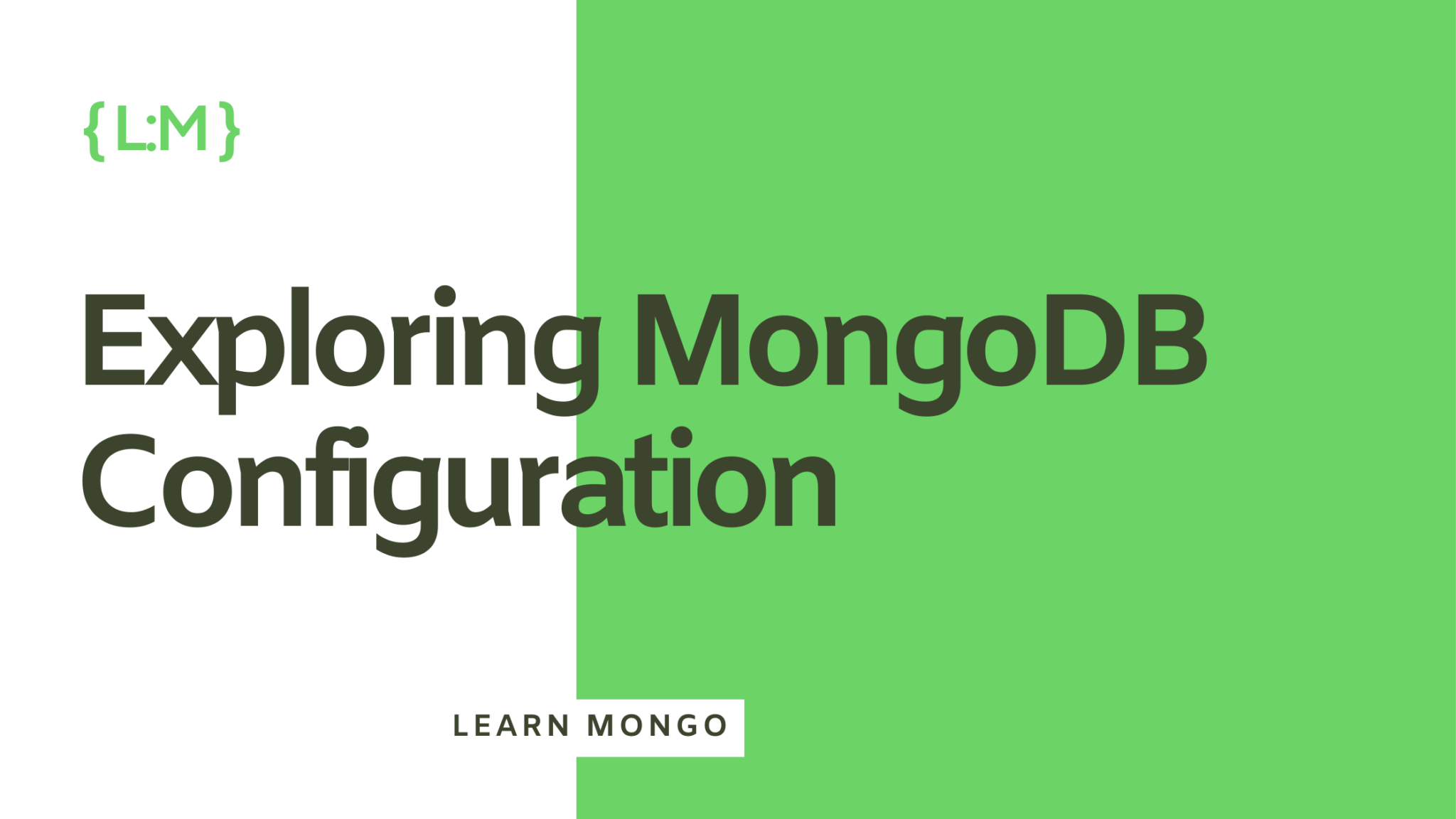 Learn Mongo – Learn MongoDB